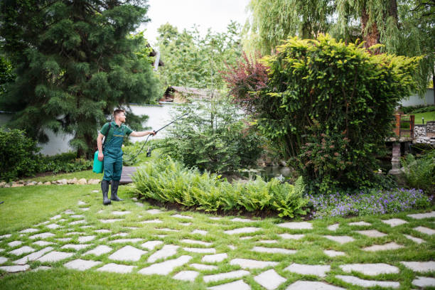 Best Local Pest Control Services  in Cowpens, SC