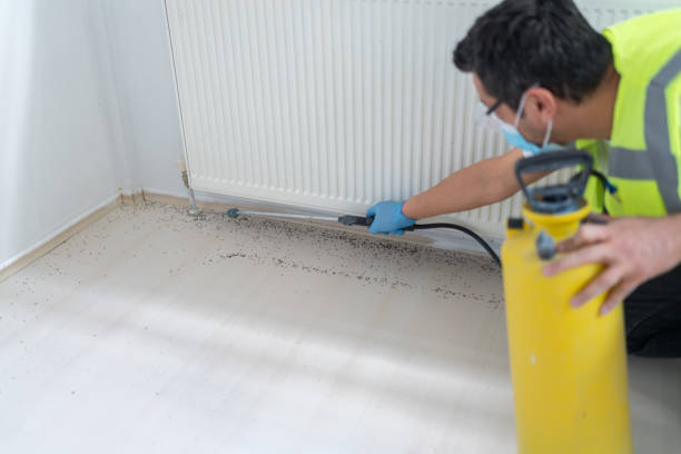 Best Mosquito Control Services  in Cowpens, SC